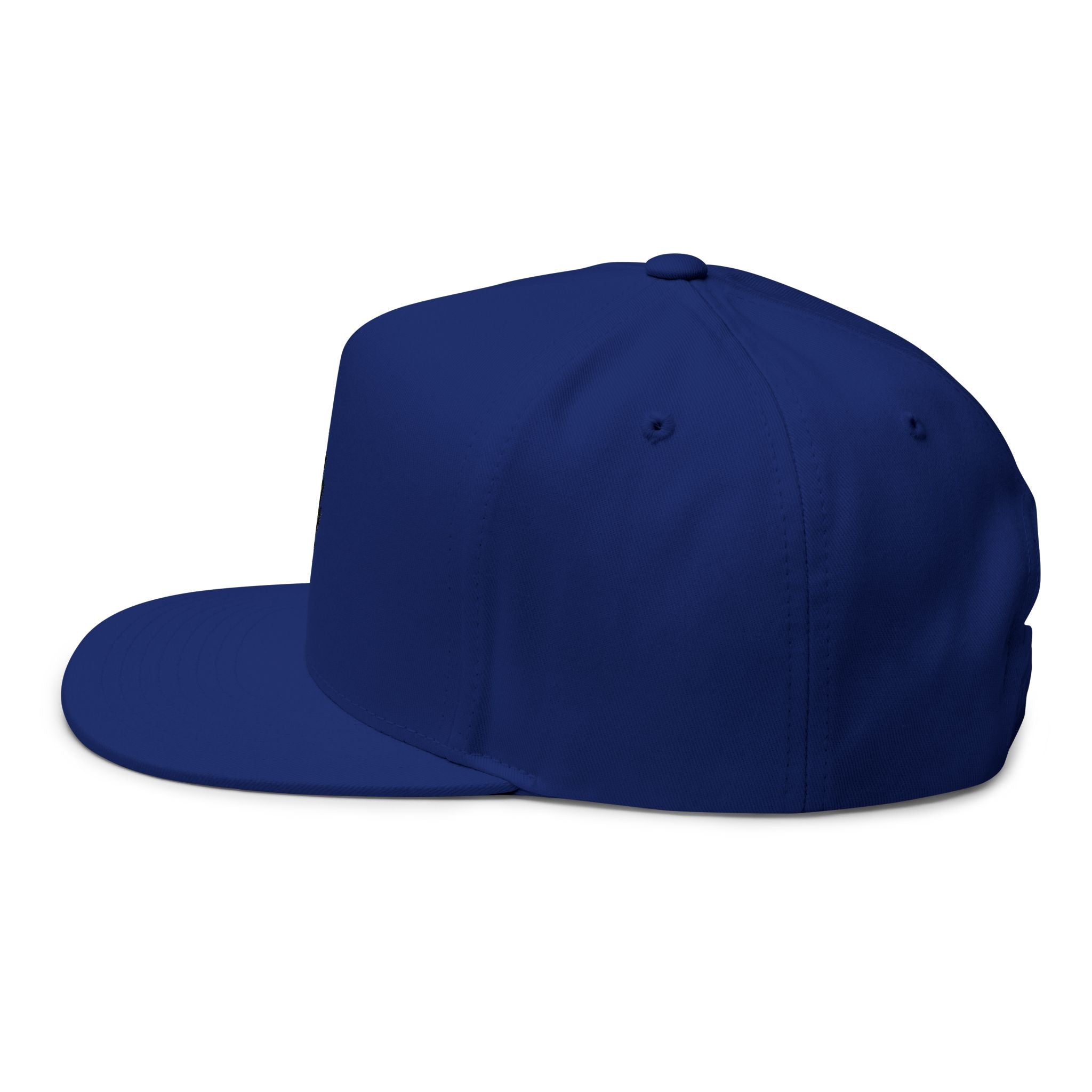 Lightning Bolt Embroidered Cap | Flat Bill Snapback Grateful Dead tour hat